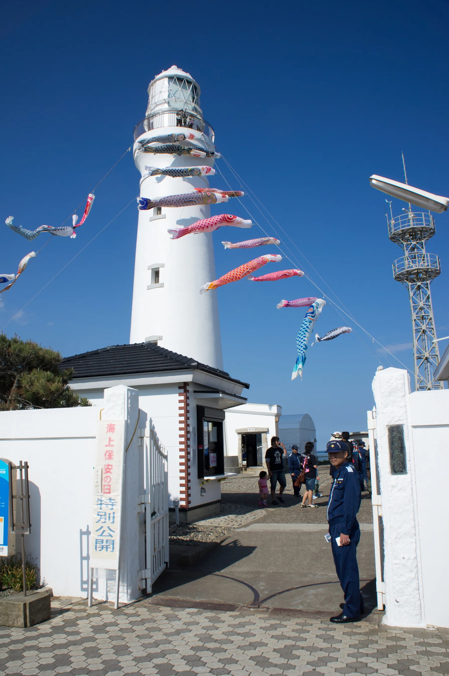 休日にご苦労様です